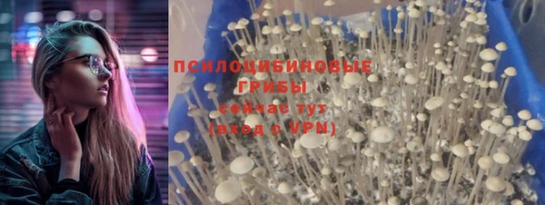 герыч Надым