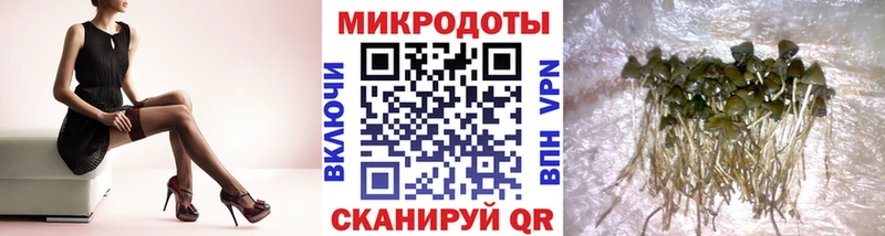 Галлюциногенные грибы прущие грибы  Купить закладки  Холм 
